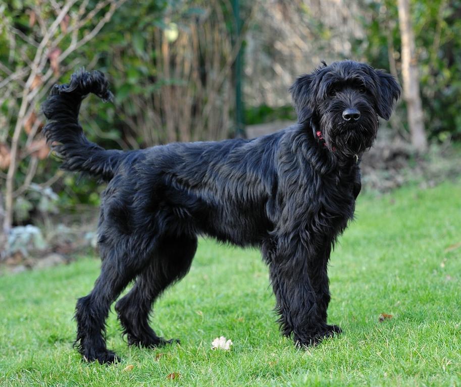 comp DSC 7474