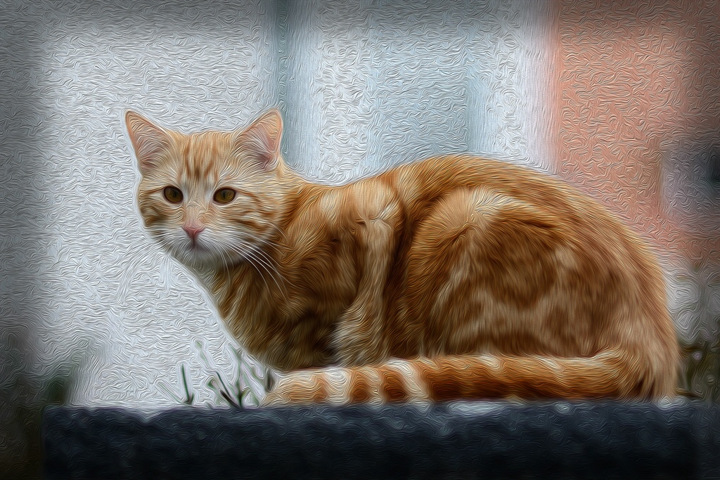 comp DSC 7615a