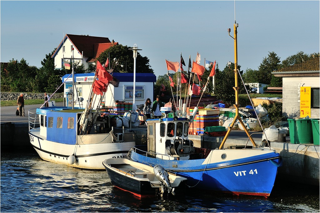 comp DSC 7627 1
