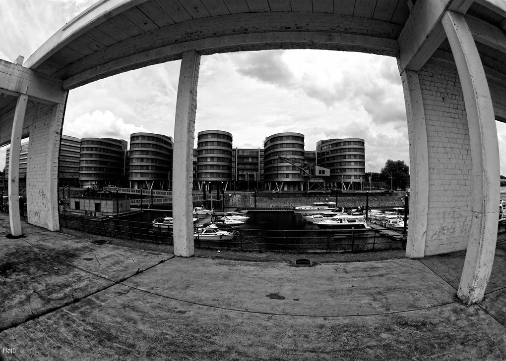 comp DSC 7639 DxO rawsw