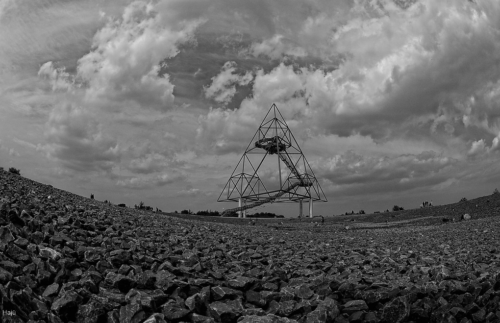 comp DSC 7731sw