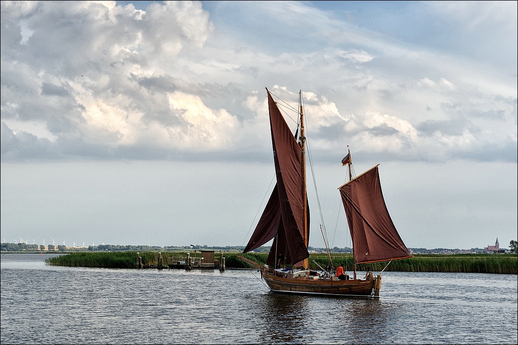 comp DSC 7733   1