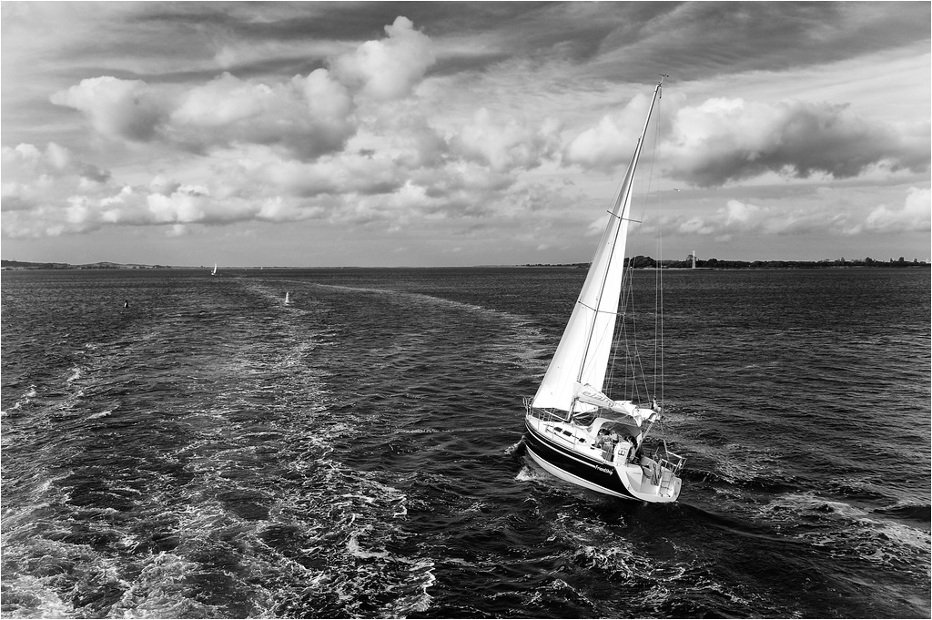 comp DSC 7815 SW