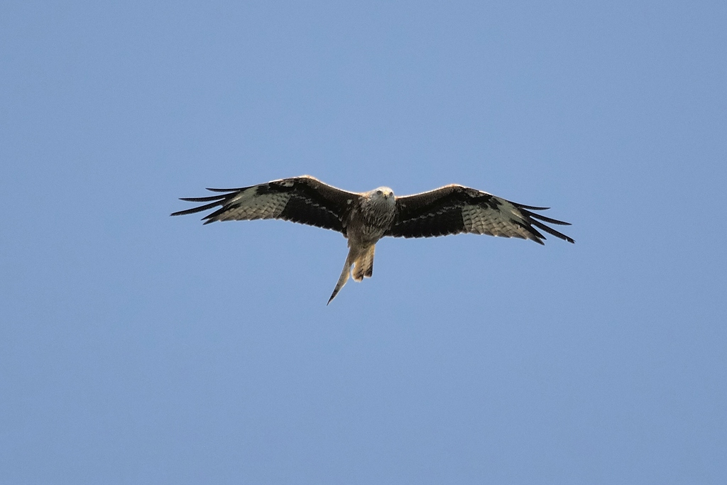 comp DSC 7846 bearbeitet