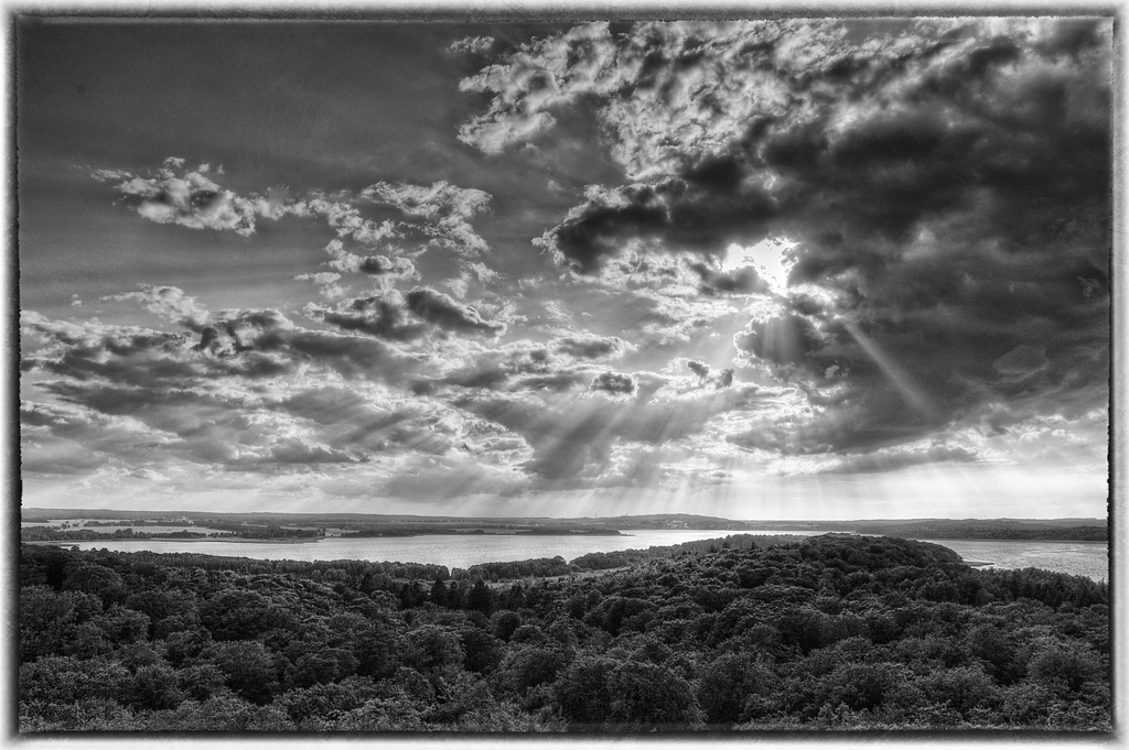 comp DSC 7902 3 4 5 6 SW