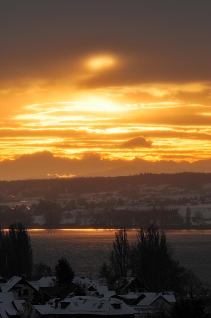 comp DSC 7930
