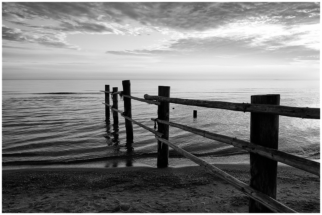 comp DSC 7996 SW