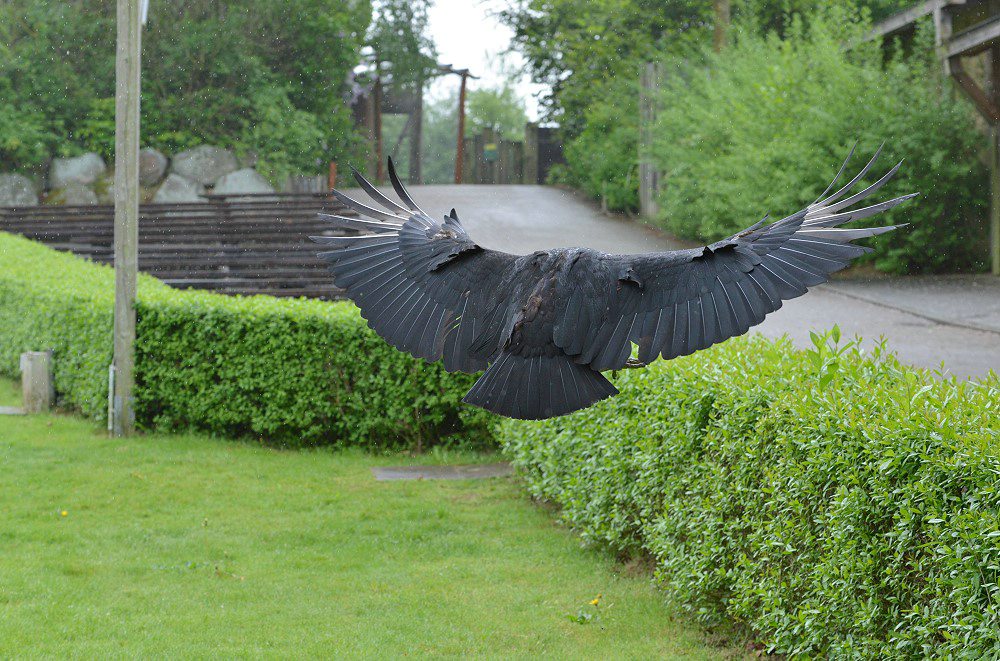 comp DSC 8771