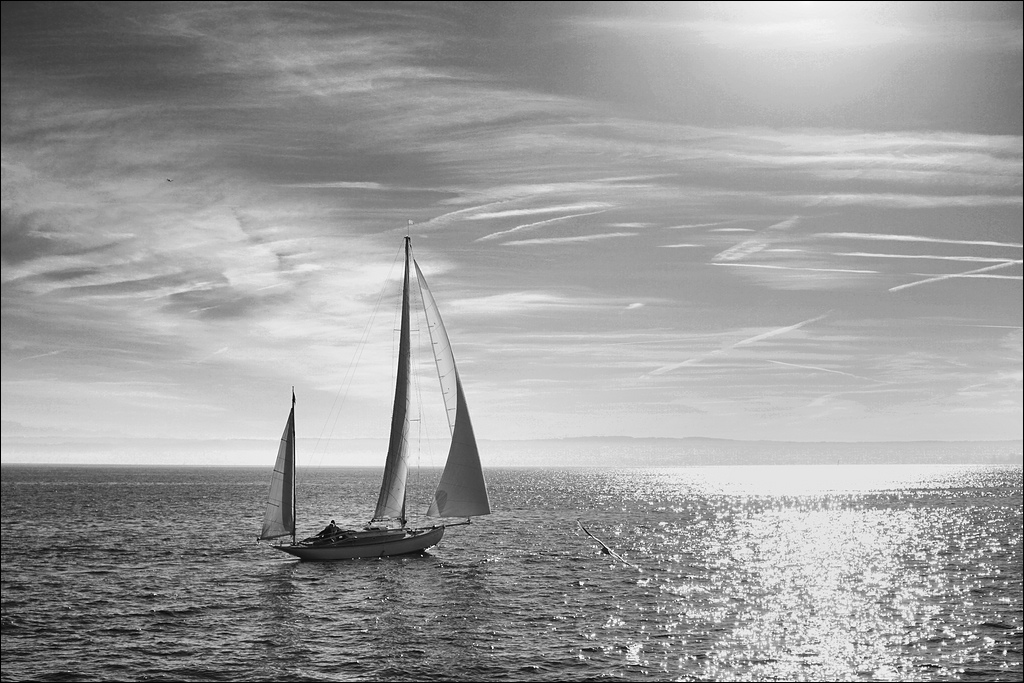 comp DSC00798 1 SW