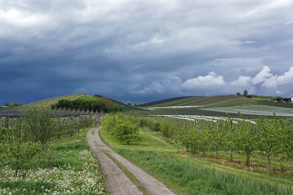 comp DSC01103   1