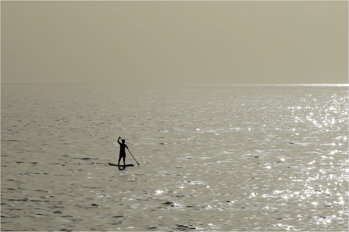 comp DSC01585