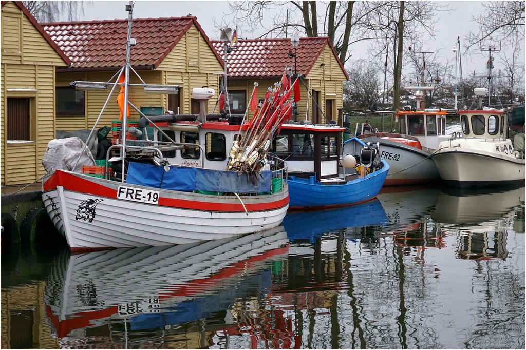 comp DSC02310