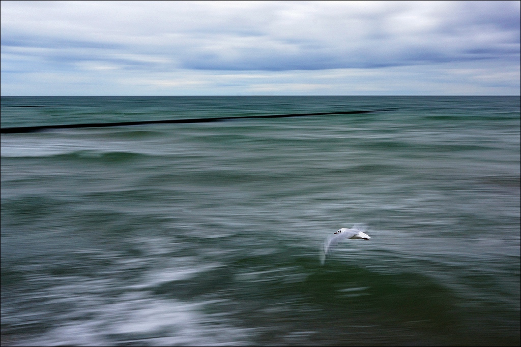 comp DSC02328