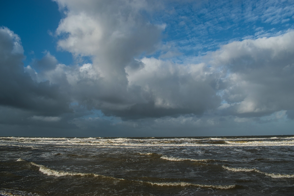 comp  DSC0299 2