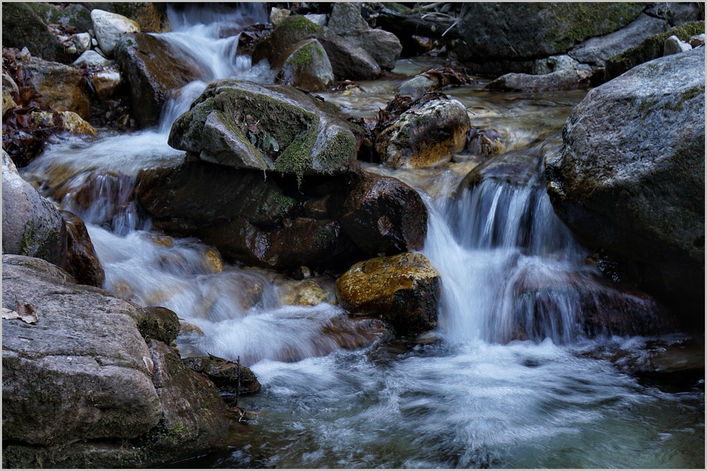 comp DSC03223 2