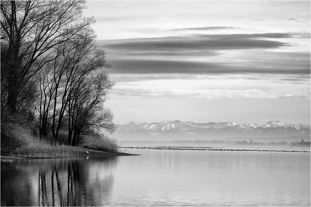 comp DSC08865 SW