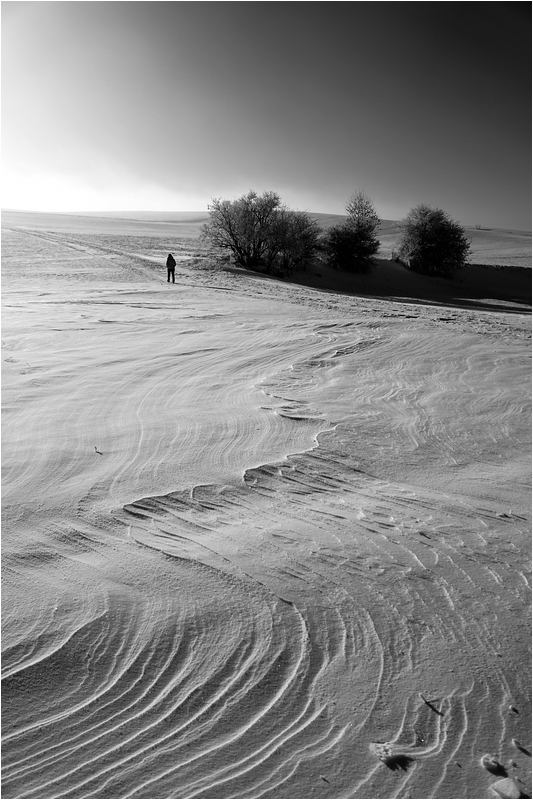 comp DSC09640 SW