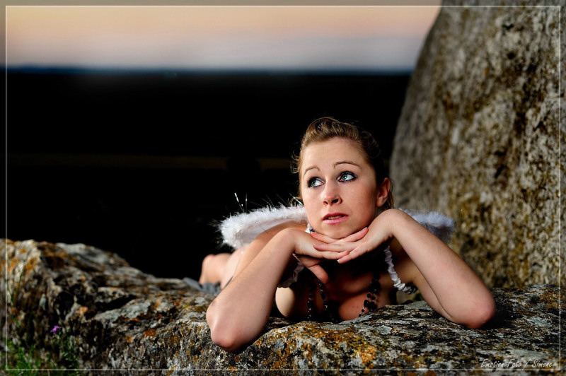 comp  DSC3511