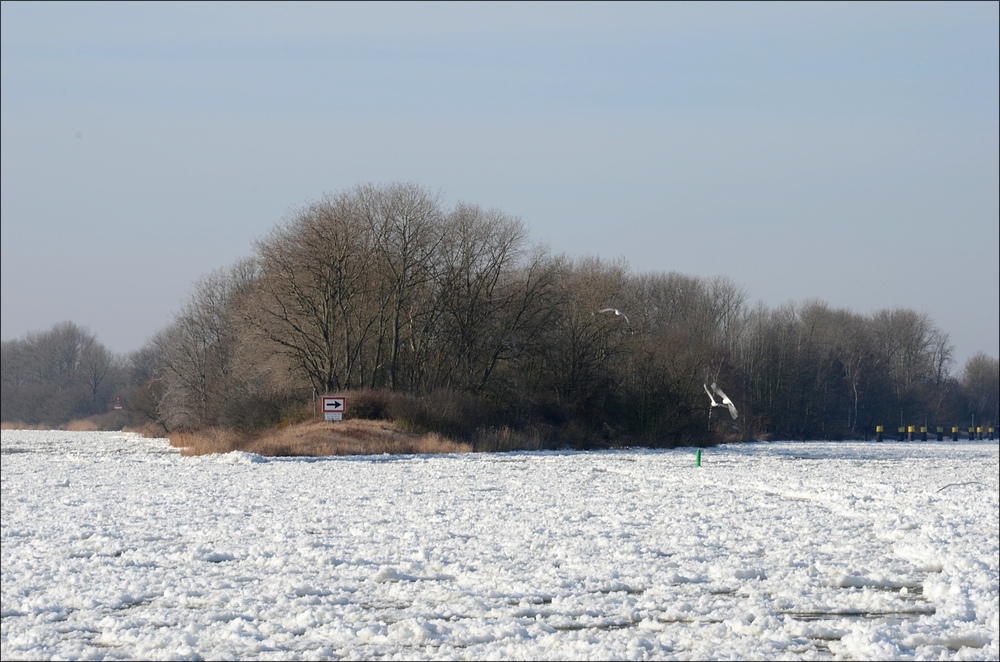 comp Elbe unter Eis 273b