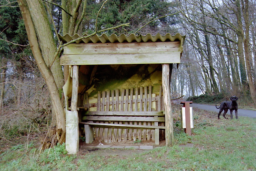comp Hütte