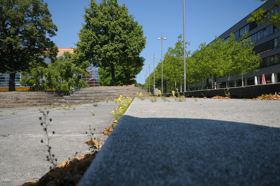 comp Hannover 113