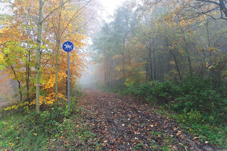 comp herbst