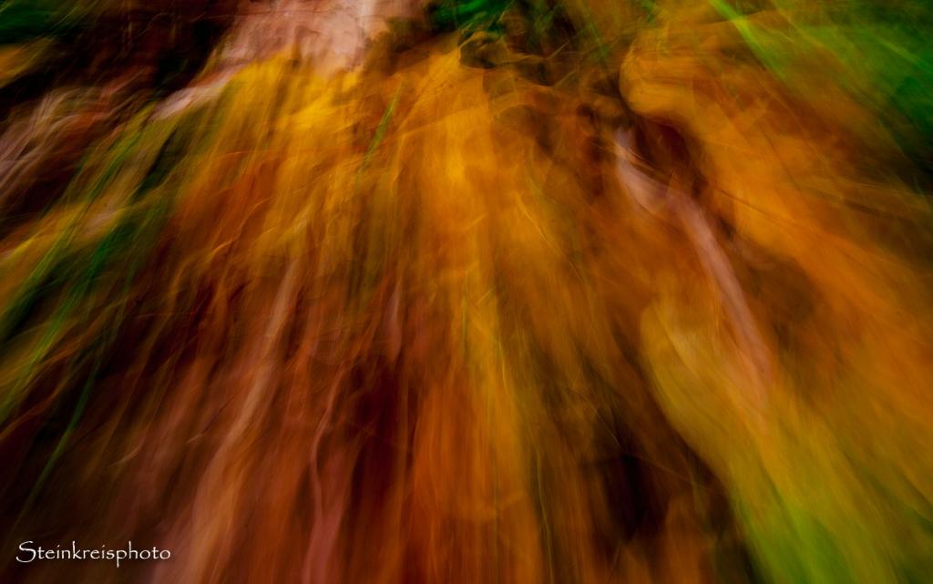 comp Herbstlaub 2