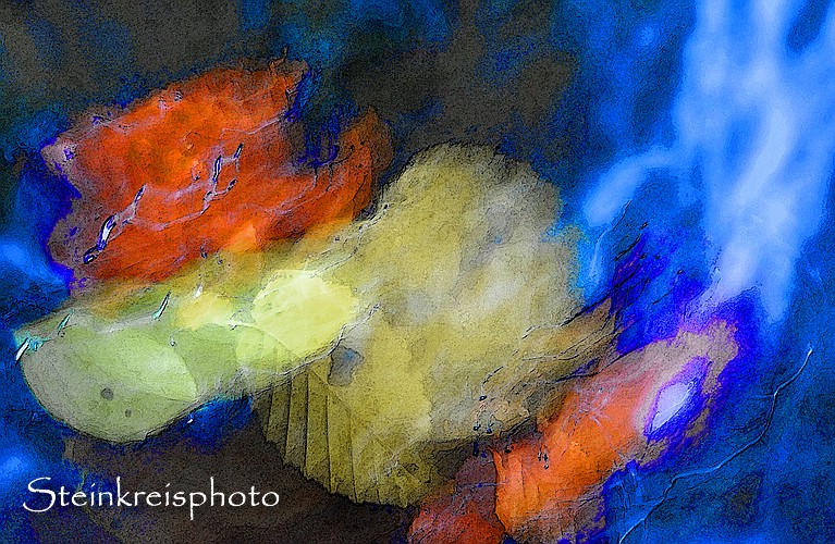 comp Herbstlicht8
