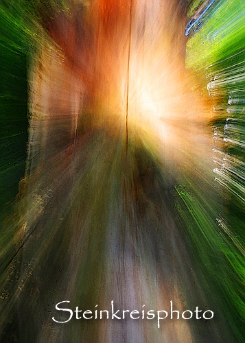 comp Imagination 2