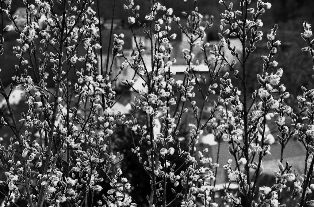 comp img006 bearbeitet