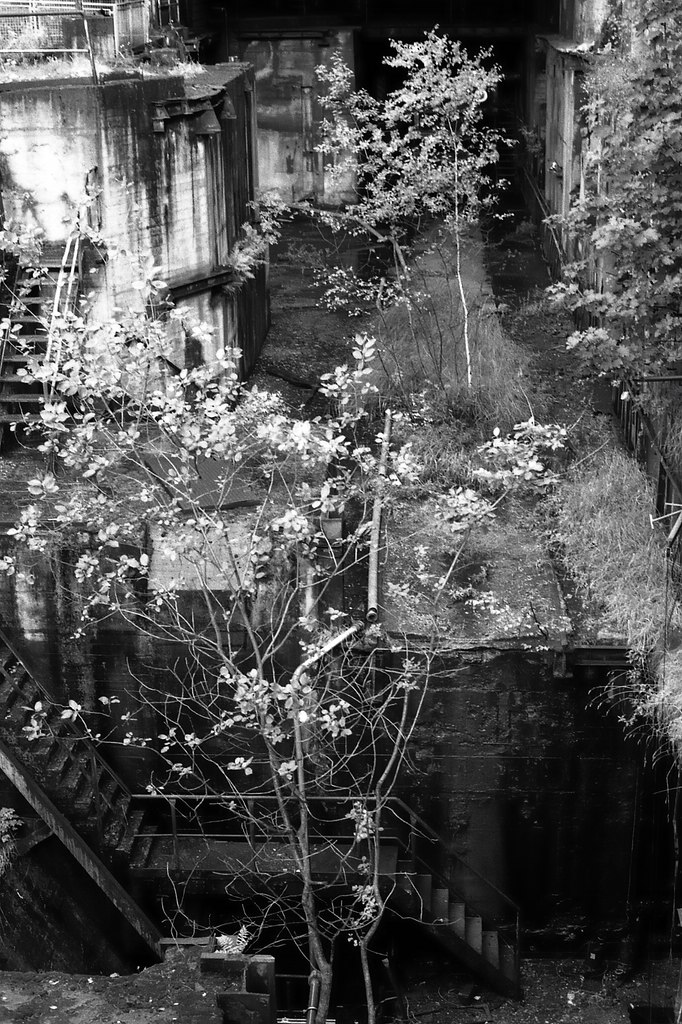 comp img024 bearbeitet