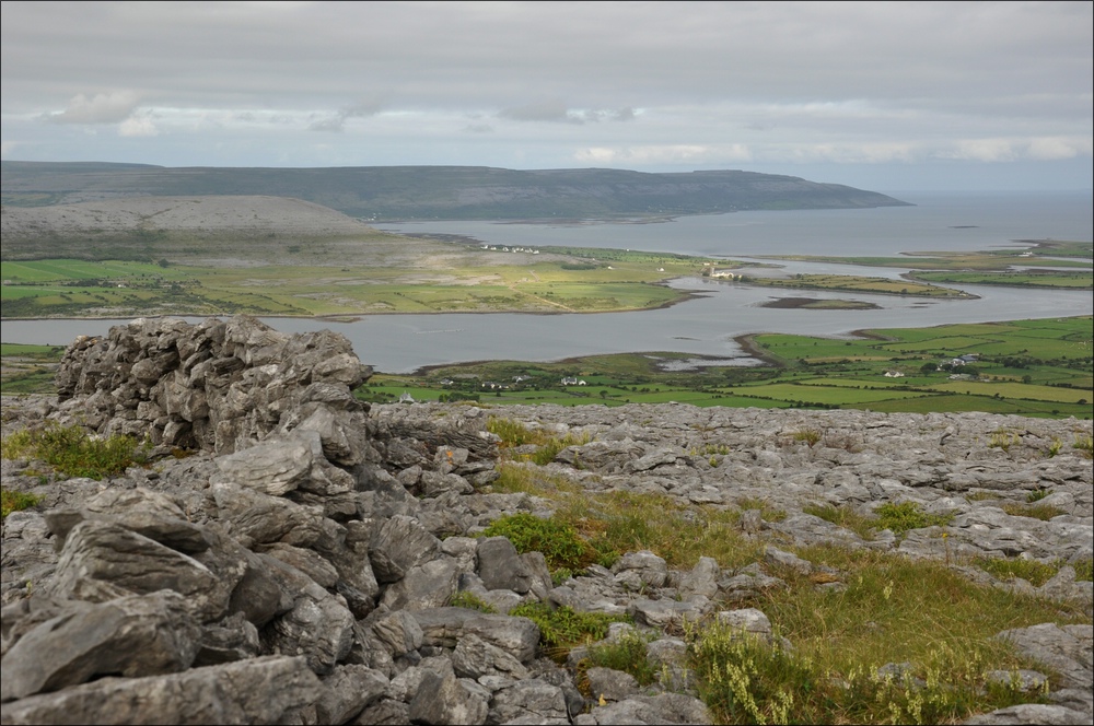 comp Irland1 106b Abbey Hill