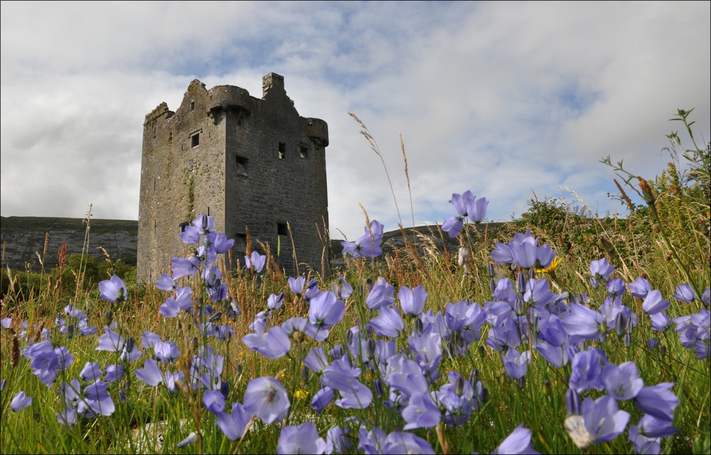 comp Irland1 126b Turm am Wunschbaum Gleninagh Castel