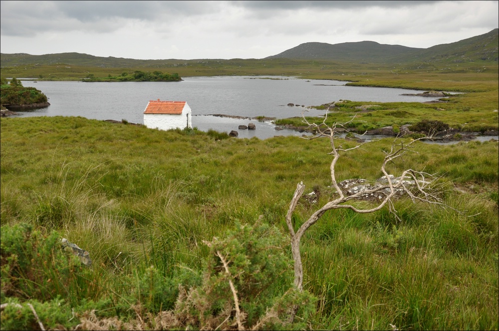 comp Irland1 261b