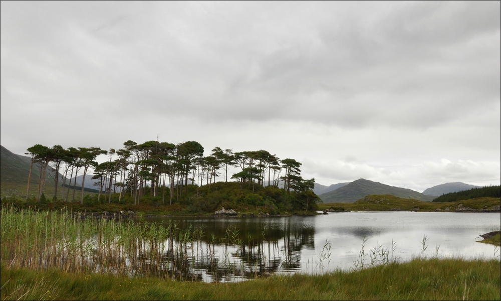 comp Irland2 199b