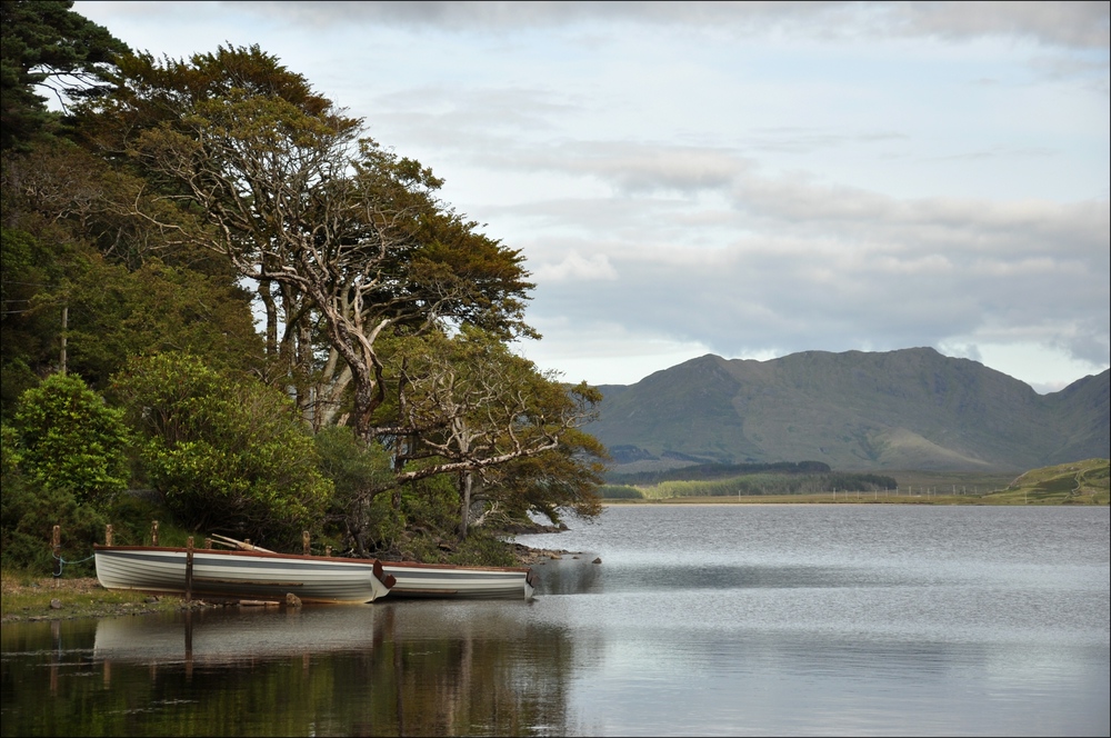 comp Irland2 431b