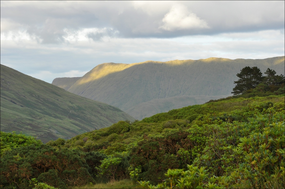 comp Irland2 435b
