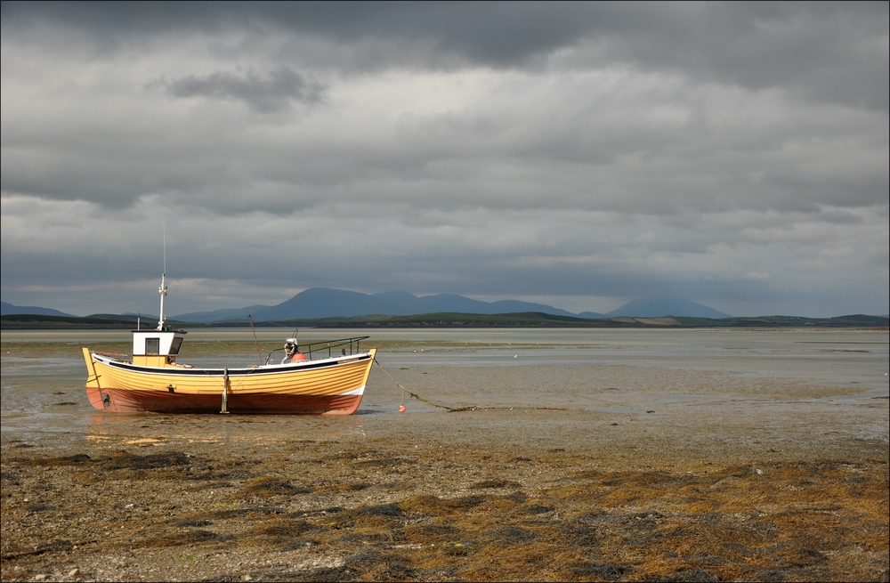 comp Irland3 038b