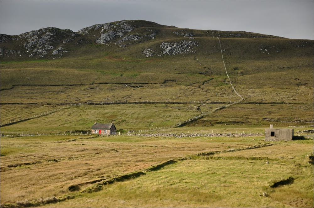 comp Irland3 077b