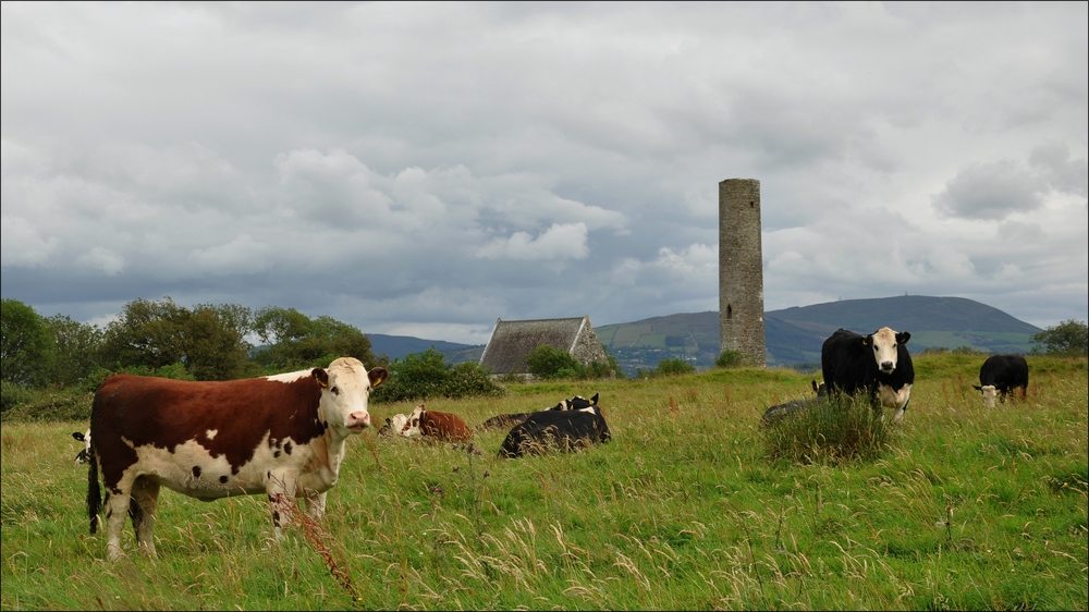 comp Irland3 187b