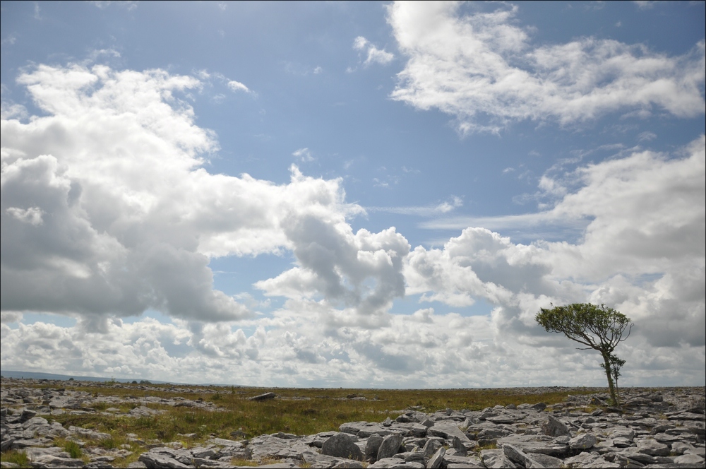 comp Irland3 402