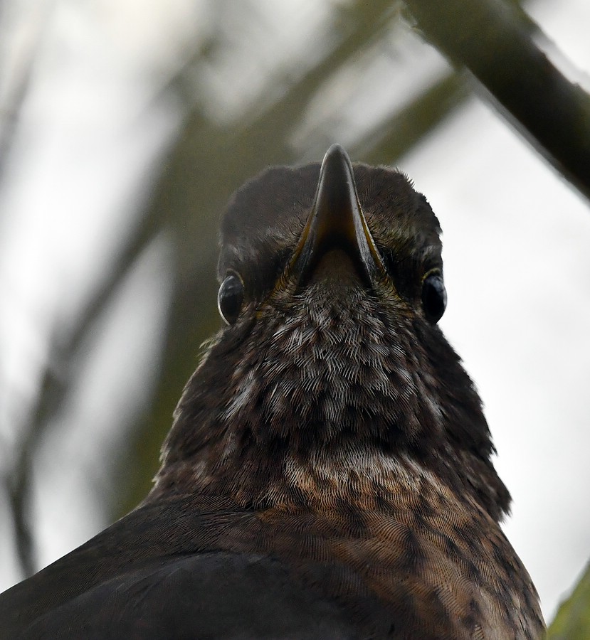comp JEM 5207

Amsel