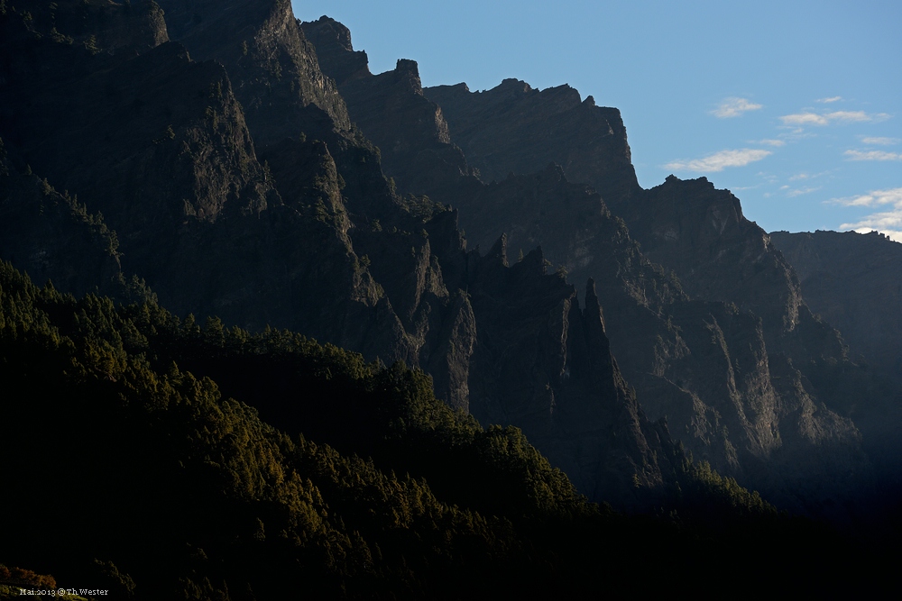 comp Landscape (45)