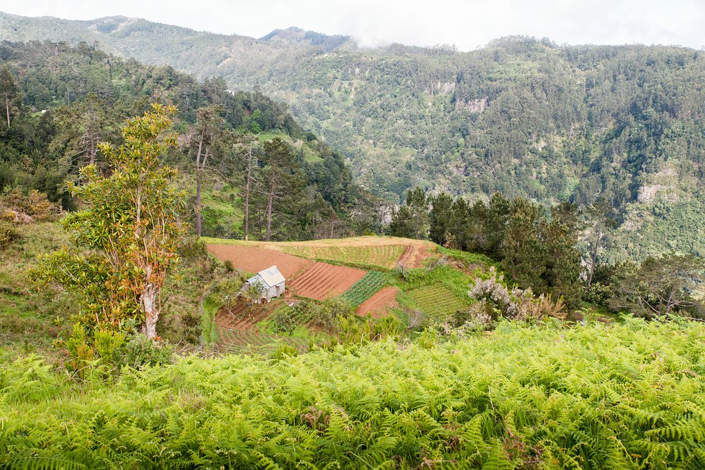 comp Madeira Forum 13 (11 von 1)