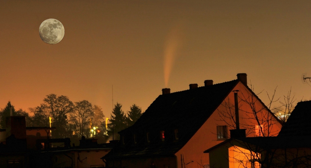 comp Mond 1