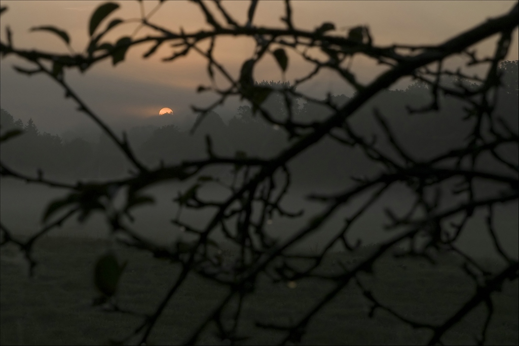 comp morgennebel 02