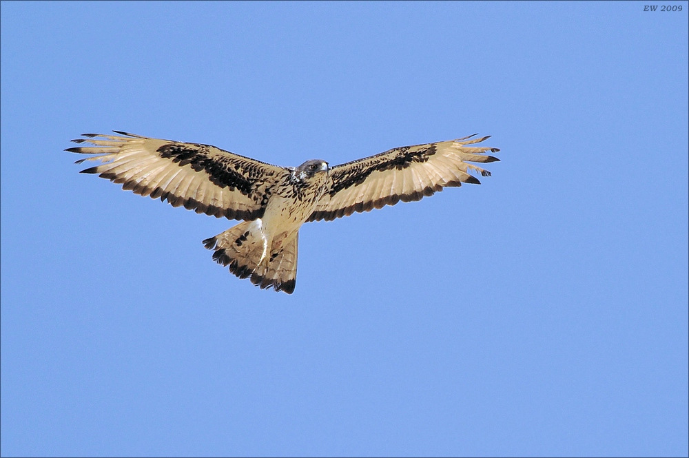 comp Namibia 09 00631