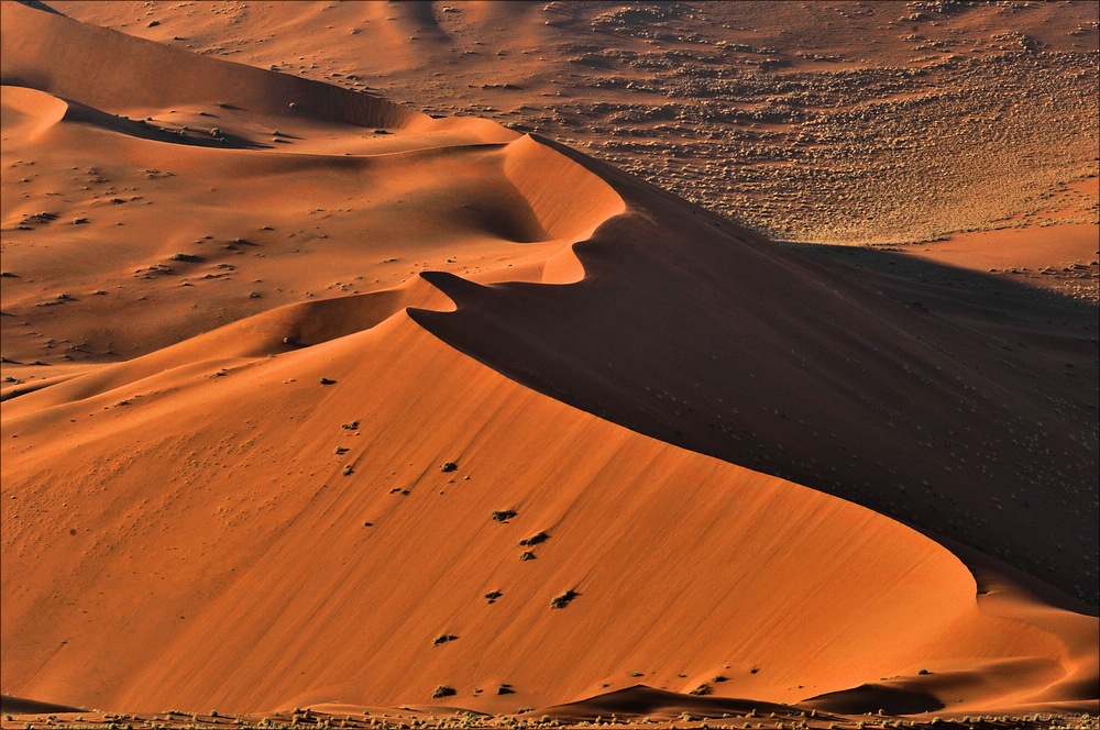comp Namibia 09 00917a