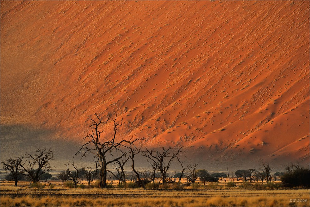 comp Namibia 09 01320