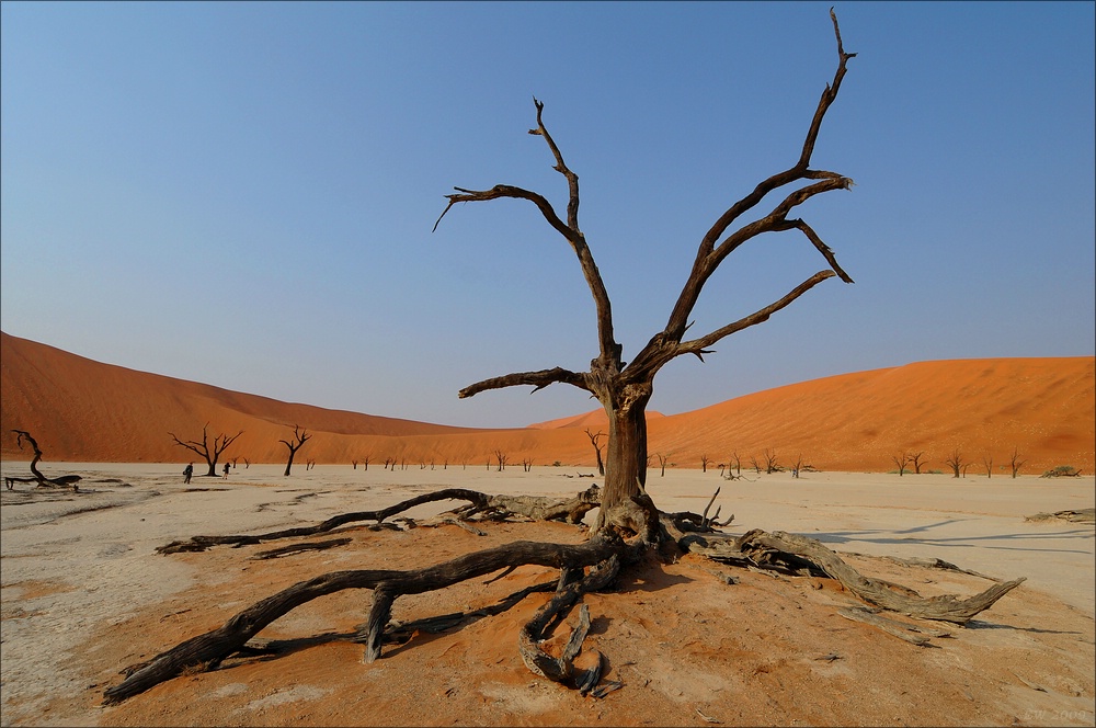 comp Namibia 09 01580a